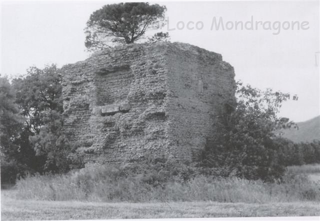 TorreDelPaladino (6).jpg